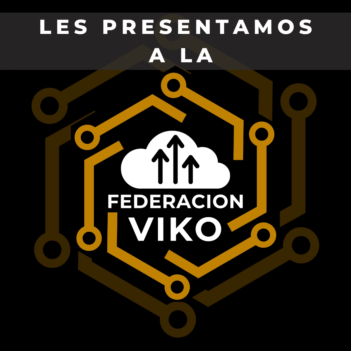 Federación Viko